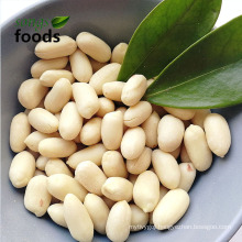 High Quality 100% Raw Blanched Peanut Kernel Supplier